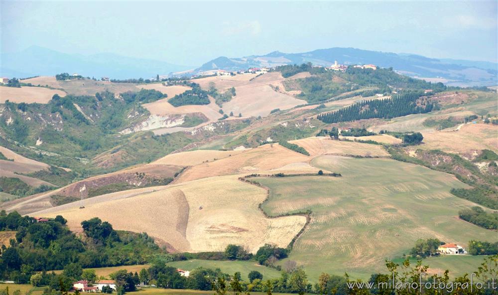 Tavullia (Pesaro) - Paesaggio con campi coltivati